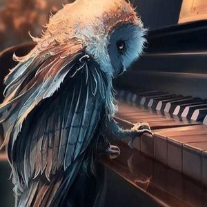 Meet your Posher, Olga